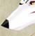 Sesshoumaru Wolf