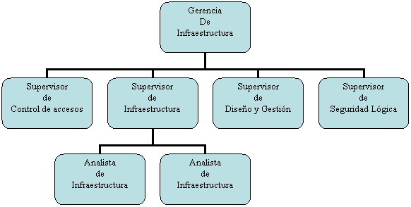 Organigrama