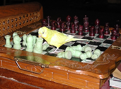 QueenAttack