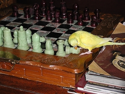 TwoPawnDown