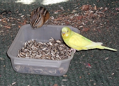 Sharing is fun