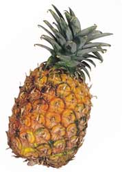 Spikeyfruit