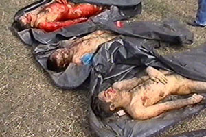 3 of the many killed in this opperation