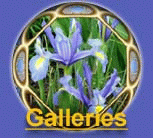 Check out our islamic galleries