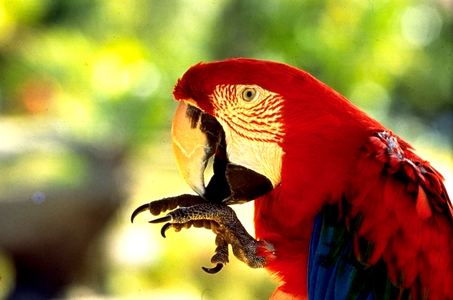 Nature Island Tours