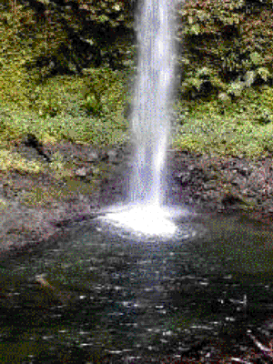 Watch a video on Dominica