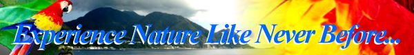 Explore The Many Interesting Nature Sites of Dominica