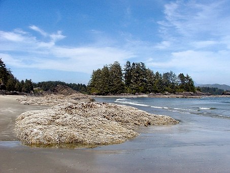 islandphoto