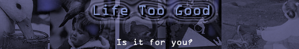 Is Life Too Good?