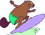 Beaver_surfs.gif - (4K)