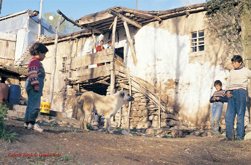 ../ibati/caferli_2.jpg