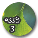 Assignment3
