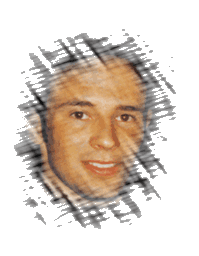 Pulcino