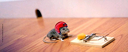 Mousey Charge