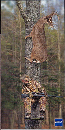 Wheres the Deer gone???