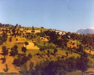 Irpinia - Primavera Estate