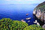 Island Capri-Coast Capri