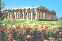 Paestum - Basilica