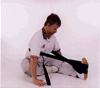 Hamstring Stretch 1