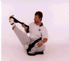  One Leg Hamstring