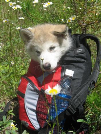 My first hiking trip