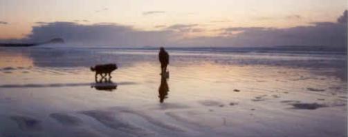 Clamming on Haida Gwaii