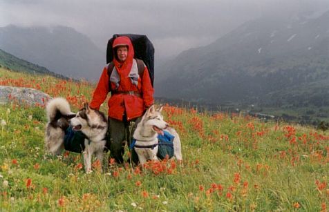 Autumn in the mountains