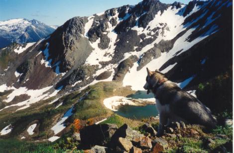 Cayoosh Range in the Coast Mountains