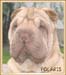 Oscar5