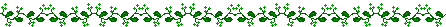 ivy line