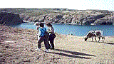 Black Sea Nature walk Do�a Y�r�y���- Karadeniz