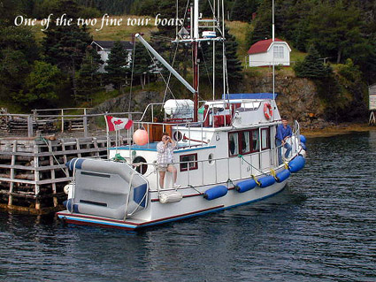 Tour Boat