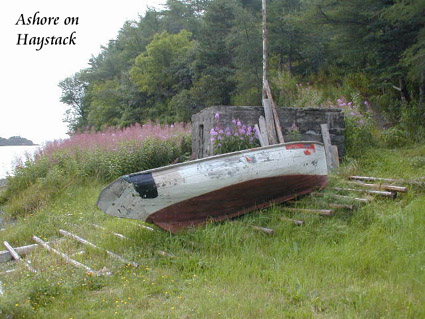 Ashore on Haystack