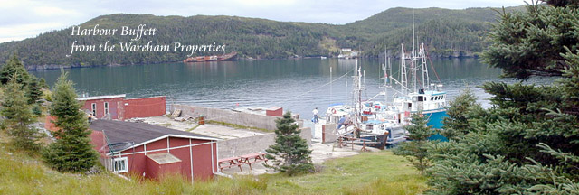 Harbour Buffett