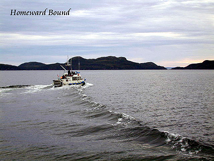 Homeward Bound