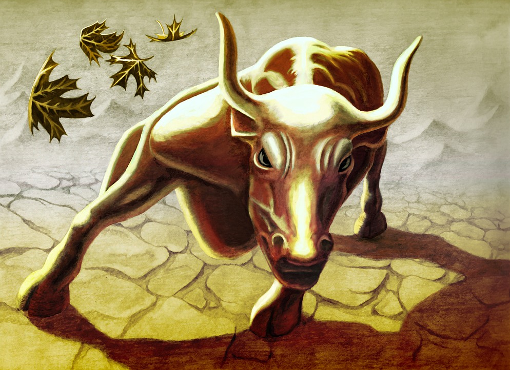 characteristics_of_the_bull