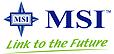 Micro Star International