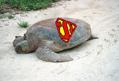 Superturtle