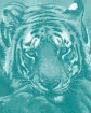 Terror the Tiger