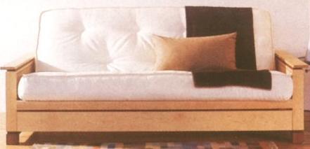 It turns out that hedgehogs transport you to futons (this is CRAZY!), so the gathering of people trying to get home try a futon.