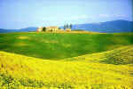 Chianti - (click to enlarge)
