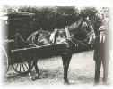 Early Photo, Vittorio Gigli