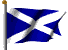 Scots Wahey !