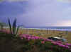 spiaggia sperl 3 piccola.jpg (19202 byte)