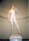 David.jpg (107539 bytes)