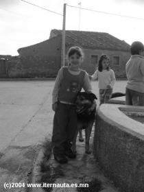 < PINCHA PARA VER FOTO AMPLIADA >