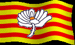 Yorkshire Rose and Senyera
