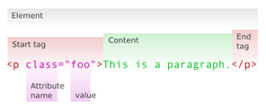 Parts of a HTML element: <p class="foo">This is a paragraph</p> Start tag: <p class="foo">; Attribute name: class; value: foo; Content: This is a paragraph.; End tag: </p>
