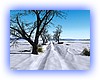 Weg_im_Schnee1.jpg