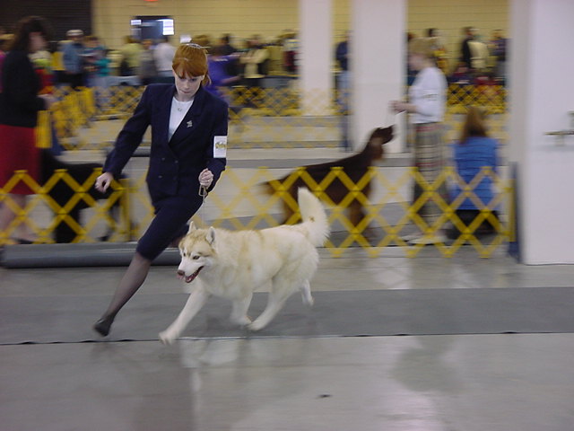 Another example of versatility, Orion has two legs towards his CD.